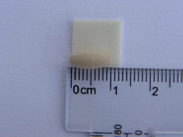 Korálky - olivy 5 x 10 mm - přírodní