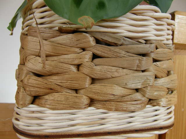 Vodní hyacint - 125 g